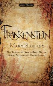 Frankenstein Summary Frankenstein Summary